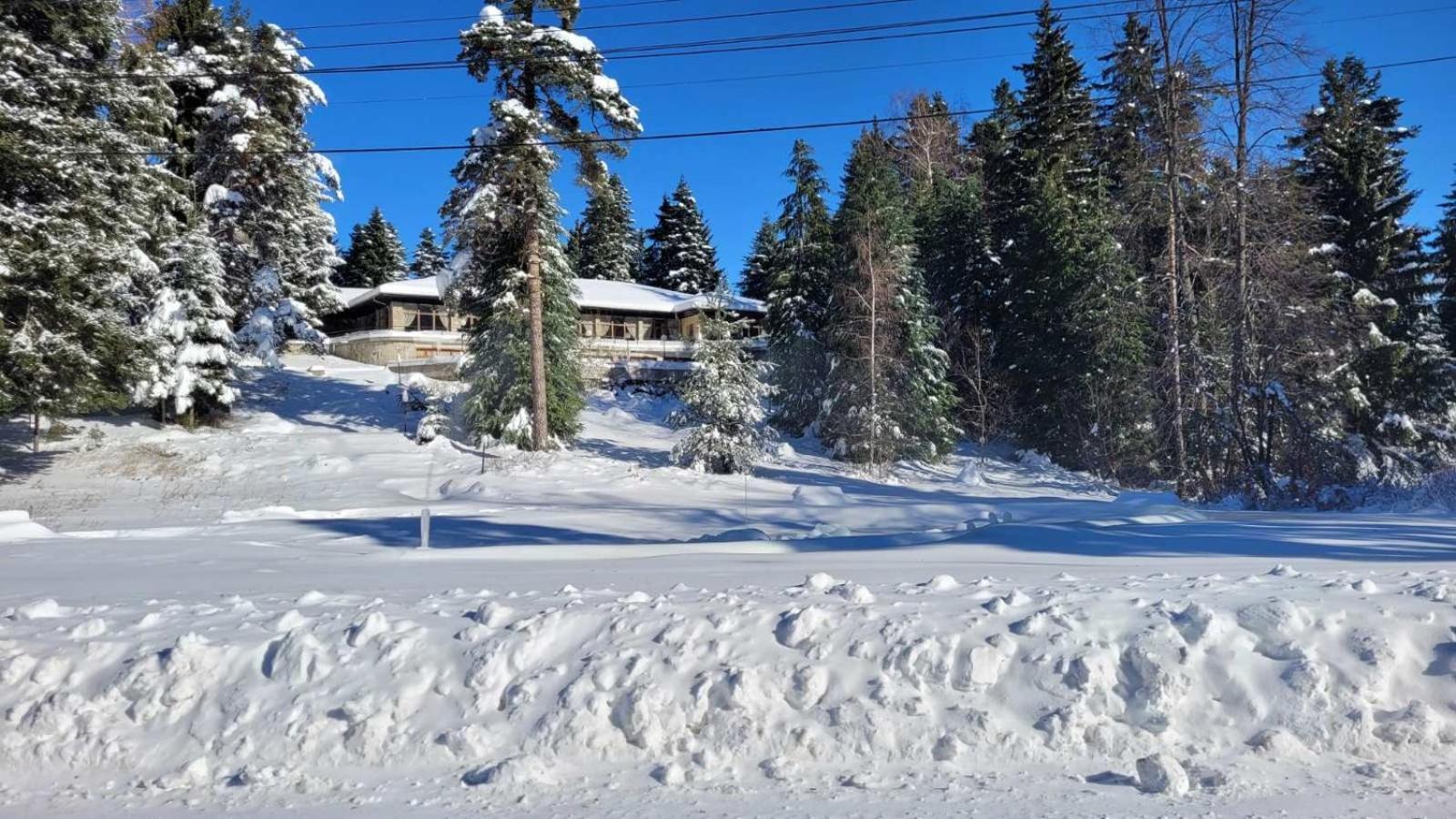 Hotel Bor Borovec Kültér fotó